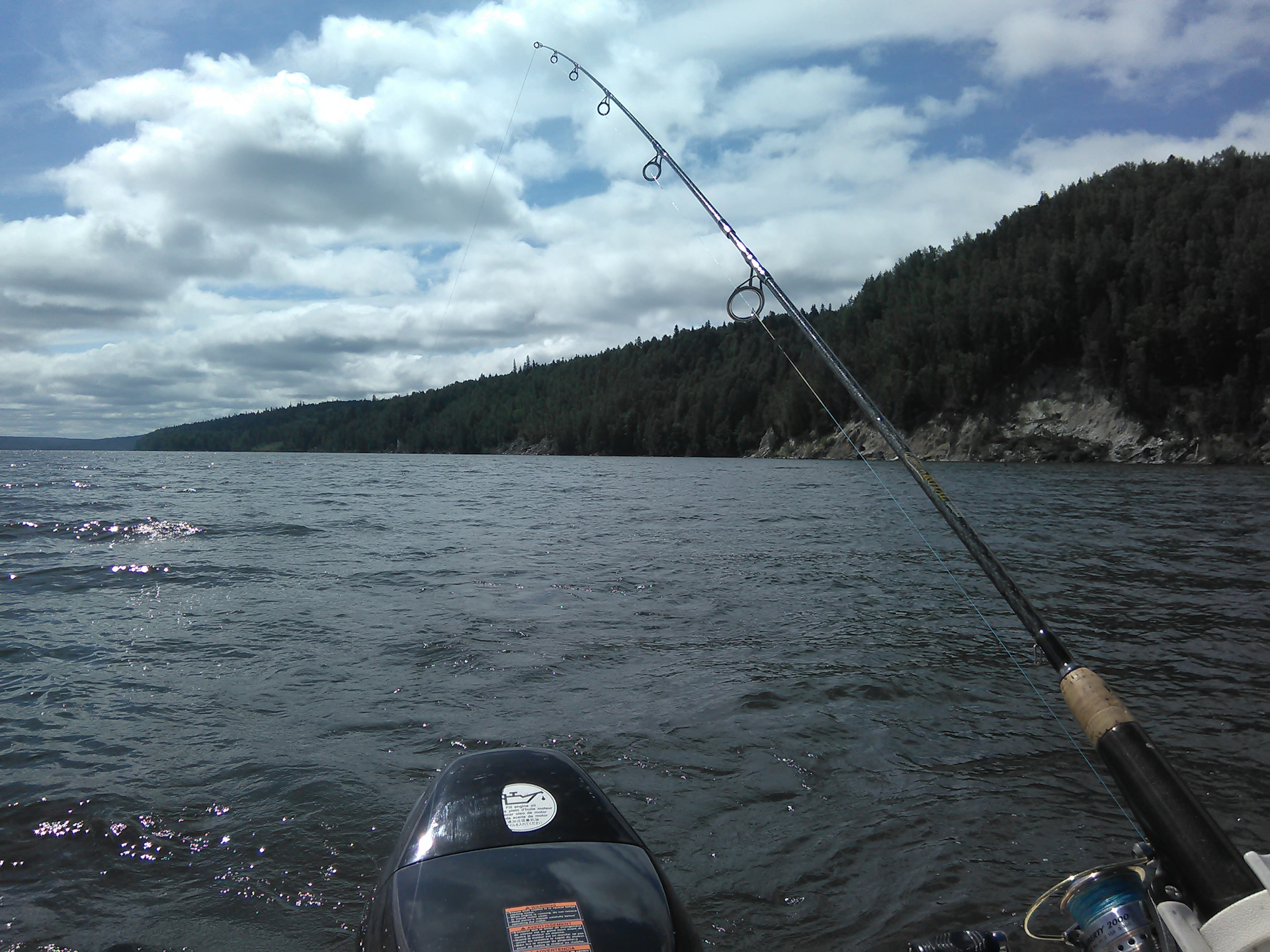 Троллинг на озере. Щука тролль. Озеро отрадное ленинградская область рыбалка. Троллинг свирь. Рыбалка троллинг на онежском озере.