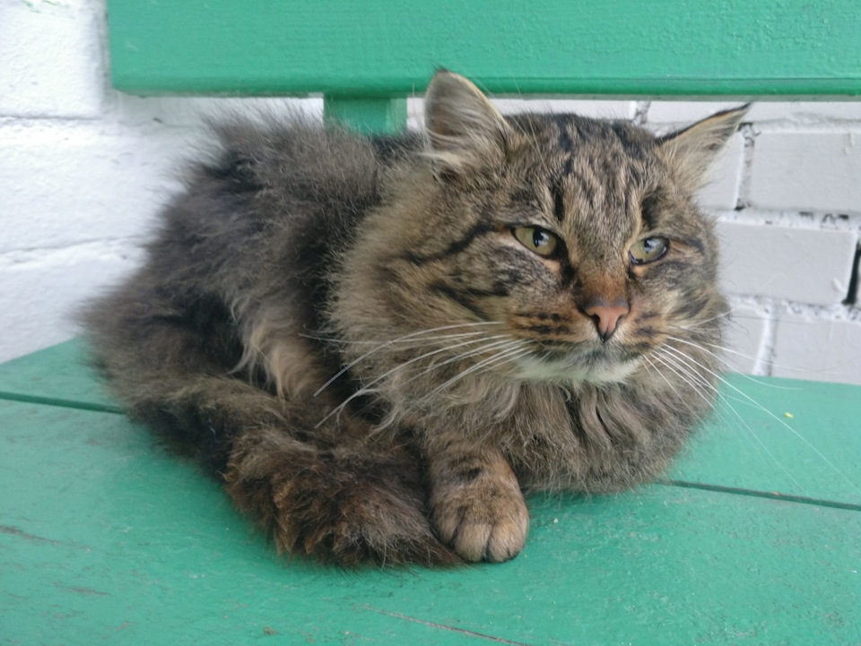 Про остаток топлива в баке и указатель. — Toyota Corolla (120), 1,4 л ...