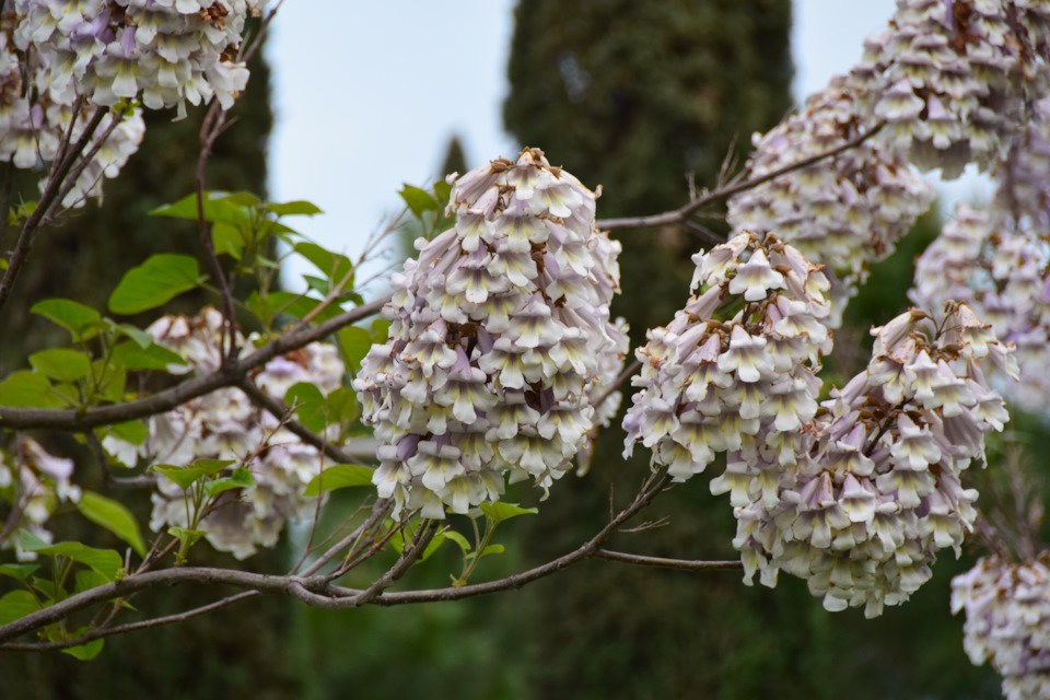 Фото в бортжурнале Renault Duster (1G)