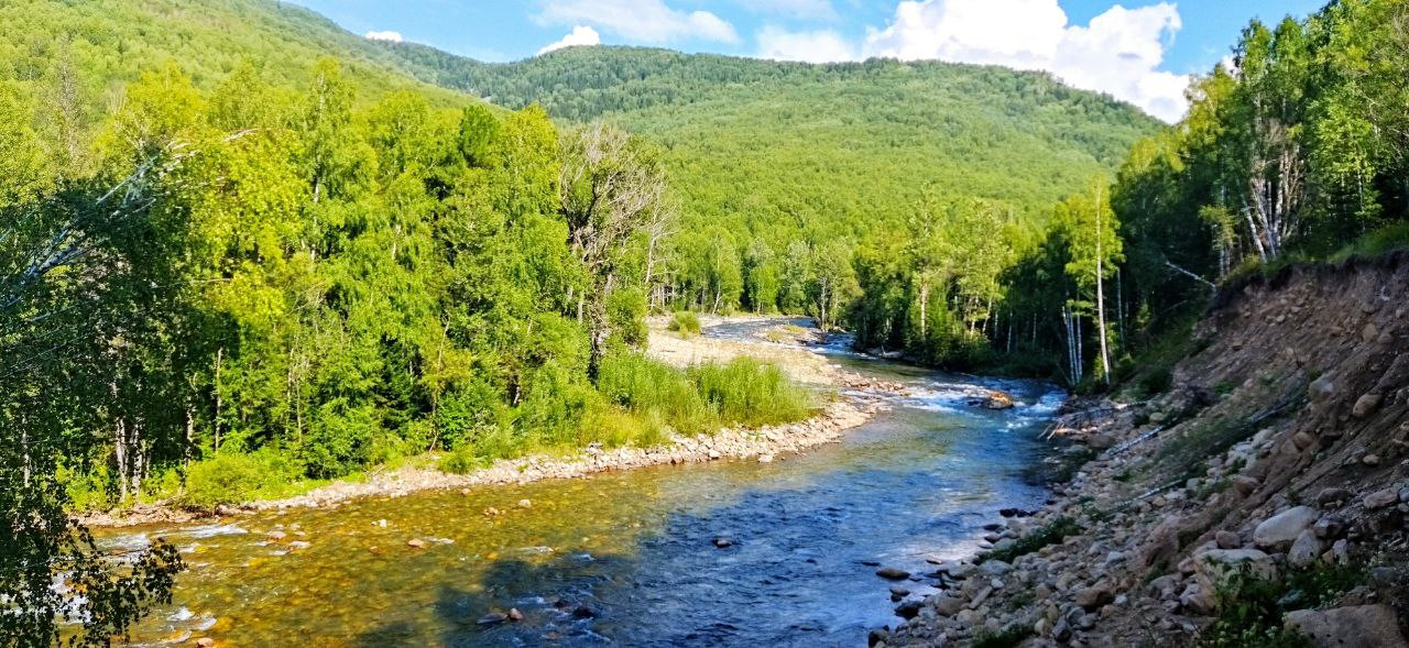 Р иня. Река Иня Новосибирск. Алтай река Иня фото. Иня (Нижний приток Оби). Река Иня Кемеровская область.