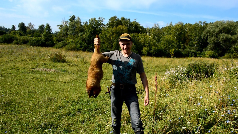 какая дробь на сурка. Смотреть фото какая дробь на сурка. Смотреть картинку какая дробь на сурка. Картинка про какая дробь на сурка. Фото какая дробь на сурка какая дробь на сурка. Смотреть фото какая дробь на сурка. Смотреть картинку какая дробь на сурка. Картинка про какая дробь на сурка. Фото какая дробь на сурка