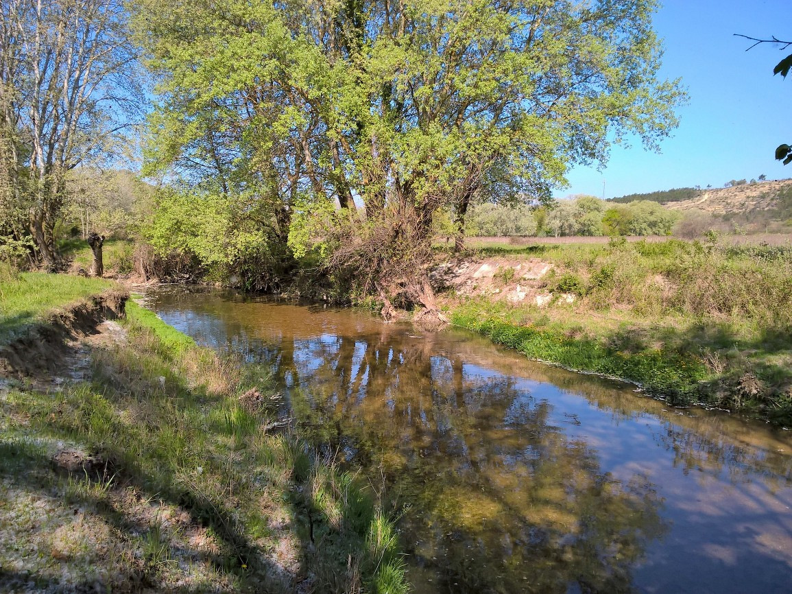 Бельбек река