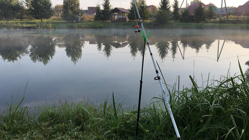 сели ловить — Opel Insignia (1G)