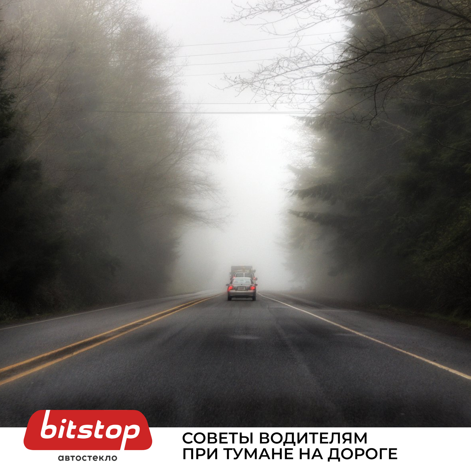 7 СОВЕТОВ ПРИ ЕЗДЕ В ТУМАН — Bitstop на DRIVE2