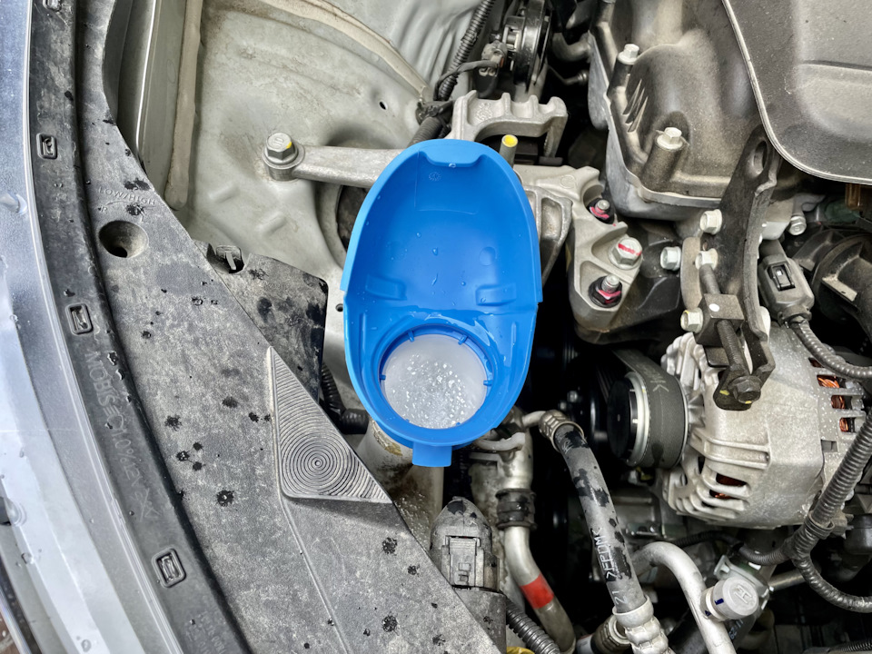 Симпли клевер — KIA Ceed SW (3G), 1,6 л, 2022 года | наблюдение | DRIVE2