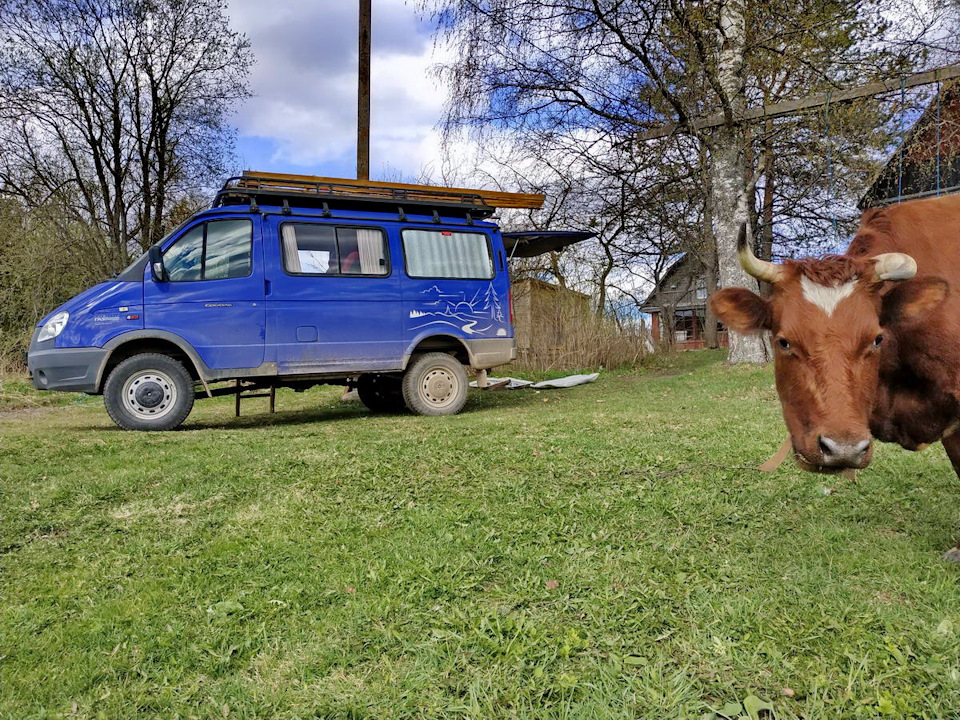 какая резьба на фланце раздатки соболь. Смотреть фото какая резьба на фланце раздатки соболь. Смотреть картинку какая резьба на фланце раздатки соболь. Картинка про какая резьба на фланце раздатки соболь. Фото какая резьба на фланце раздатки соболь какая резьба на фланце раздатки соболь. Смотреть фото какая резьба на фланце раздатки соболь. Смотреть картинку какая резьба на фланце раздатки соболь. Картинка про какая резьба на фланце раздатки соболь. Фото какая резьба на фланце раздатки соболь