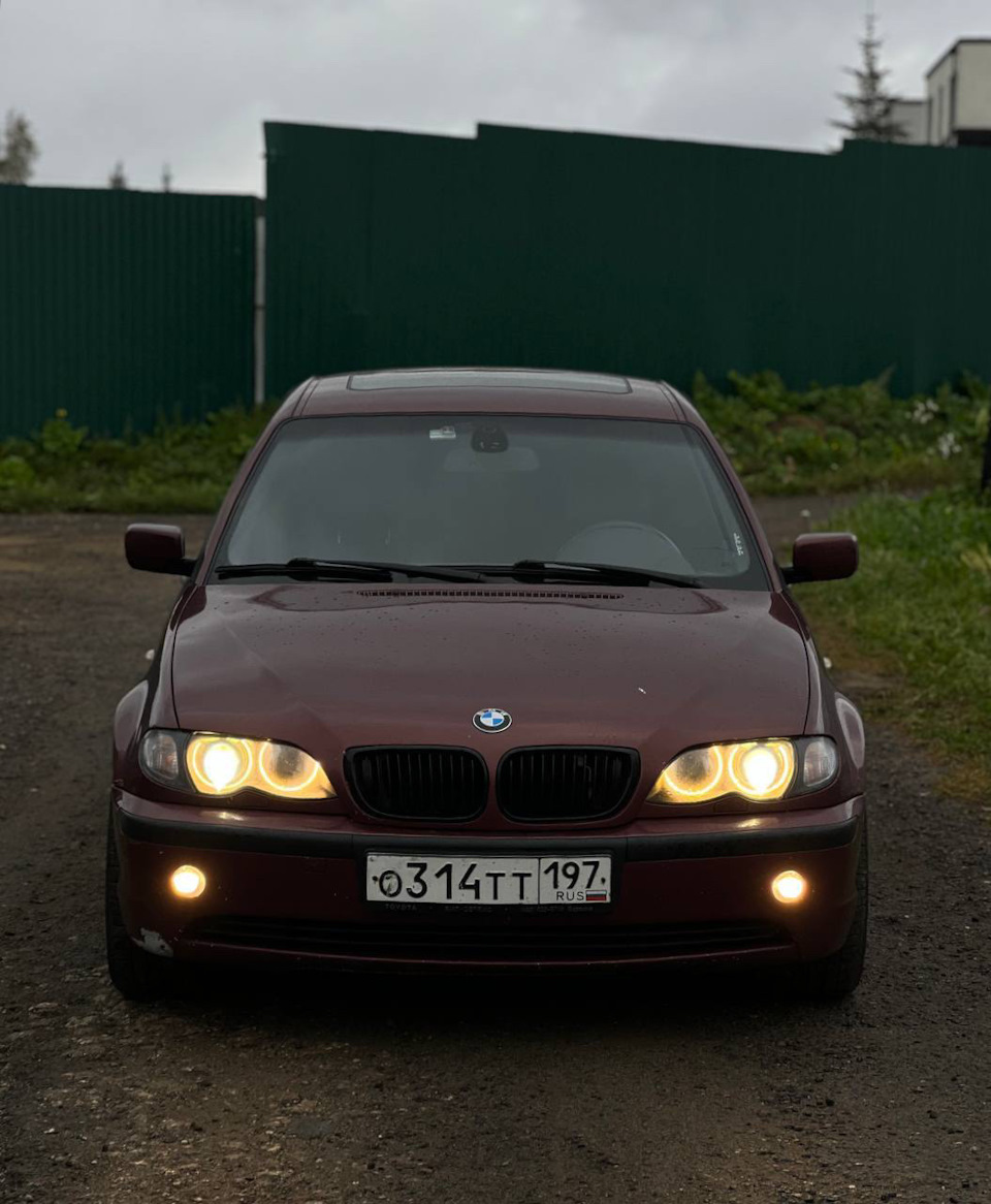 Классика записей — BMW 3 series (E46), 2,5 л, 2003 года | другое | DRIVE2
