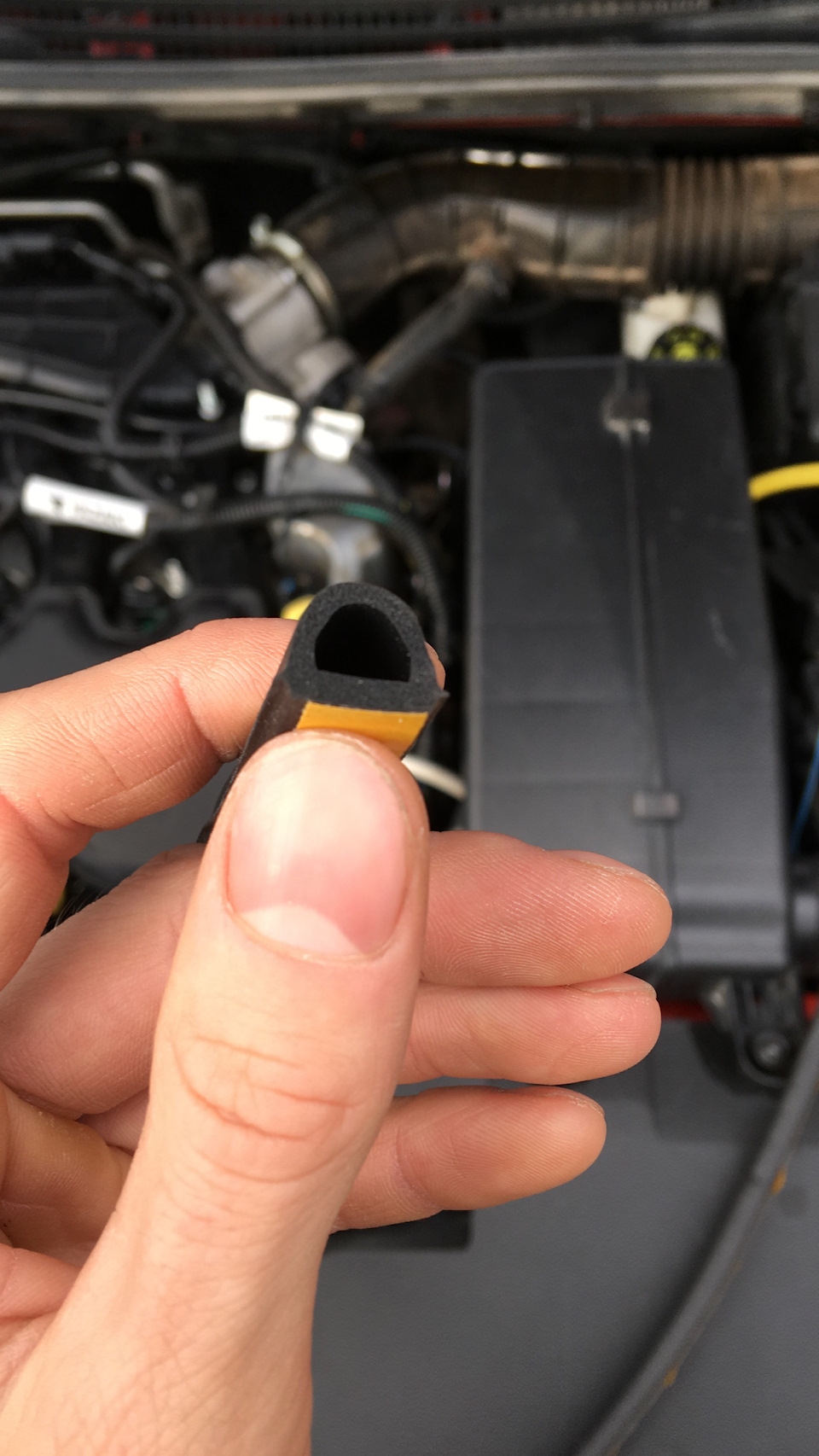 Герметизация весты +пневмосигнал — Lada Vesta, 1,6 л, 2016 года ...