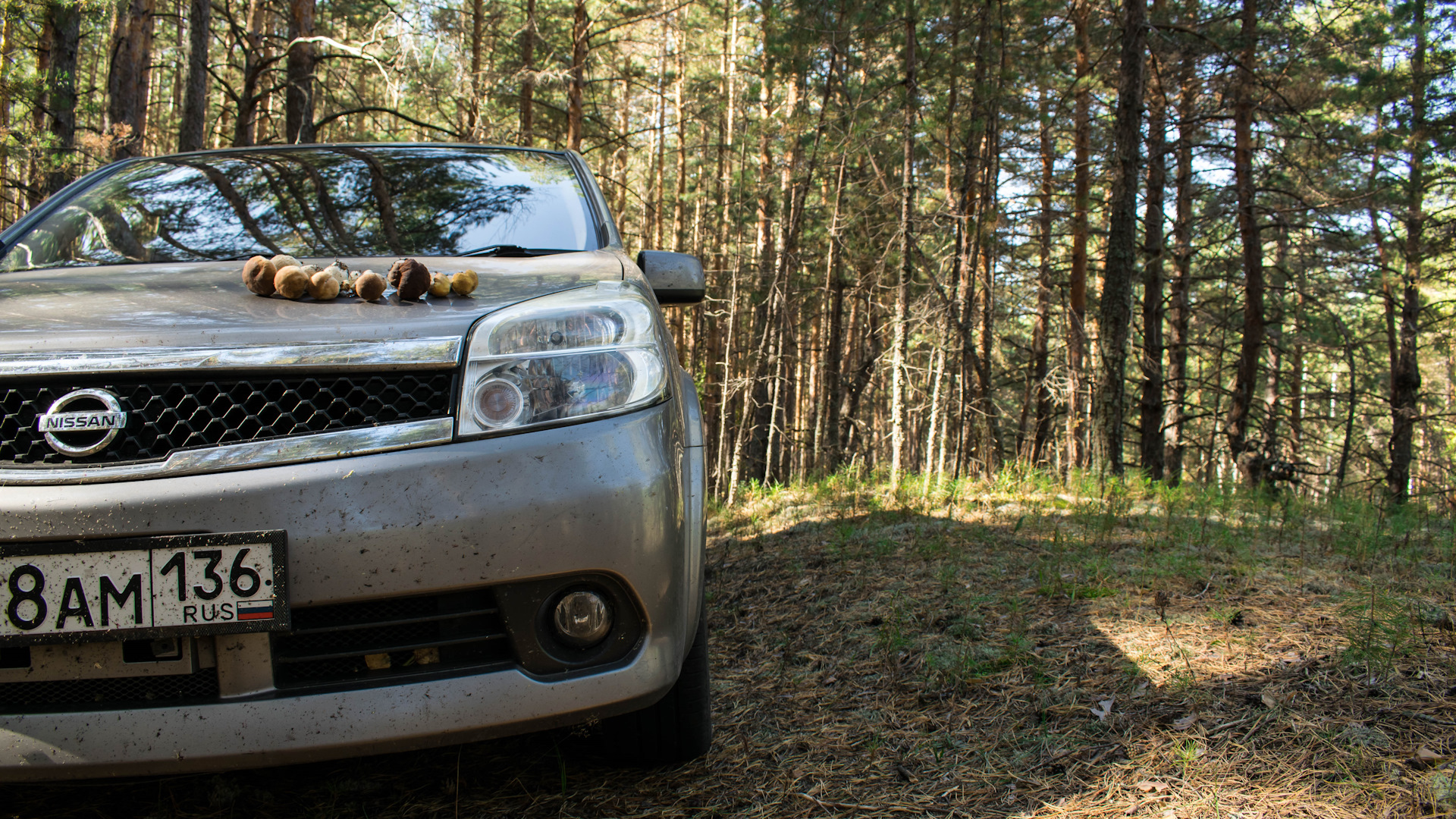 Nissan Lafesta (1G) 2.0 бензиновый 2008 | на DRIVE2