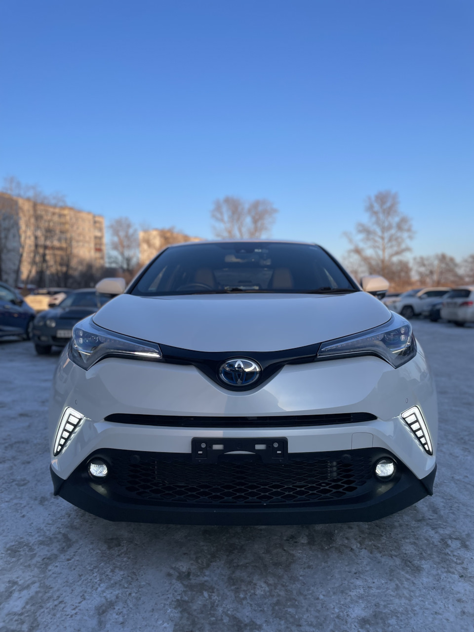 Дневные ходовые огни — Toyota C-HR Hybrid, 1,8 л, 2019 года | электроника |  DRIVE2