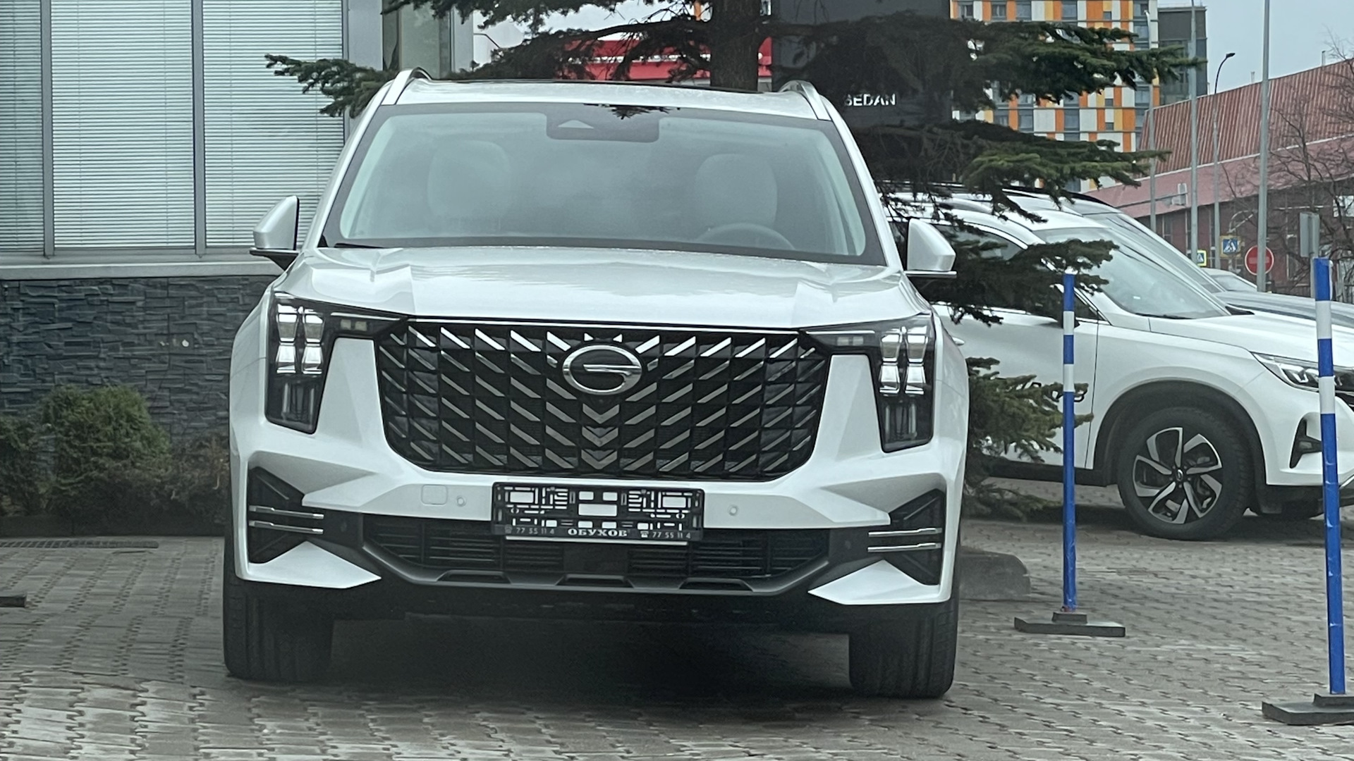 GAC GS8 (2G) 2.0 бензиновый 2023 | на DRIVE2