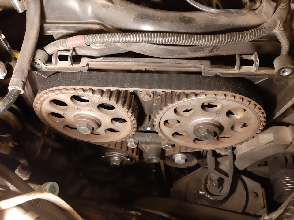 Замена ГРМ немного раньше запланированного, по ложным сигналам из зоны ...