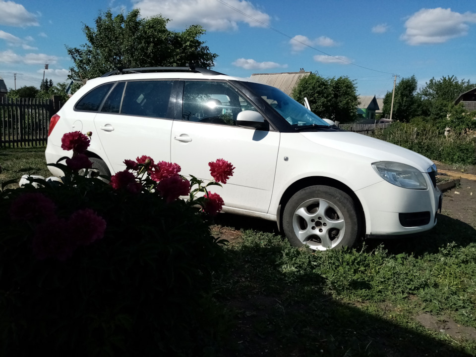 Неравномерный износ передних колодок. — Skoda Fabia Combi Mk2, 1,4 л ...