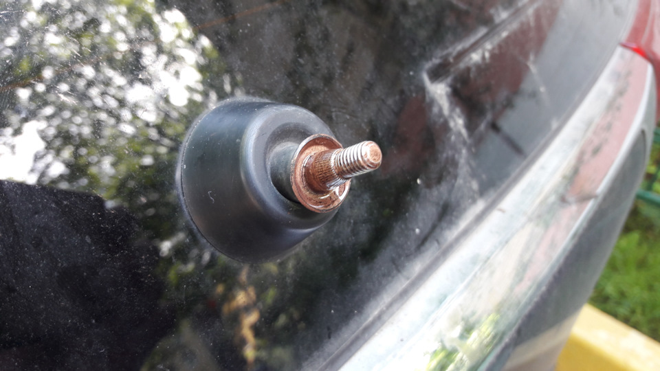 Сетчатые чулки дырявые. В заднюю дырочку. Семена лотоса трипофобия. Рваные колготки в сеточку. Предметы в заднем проходе.