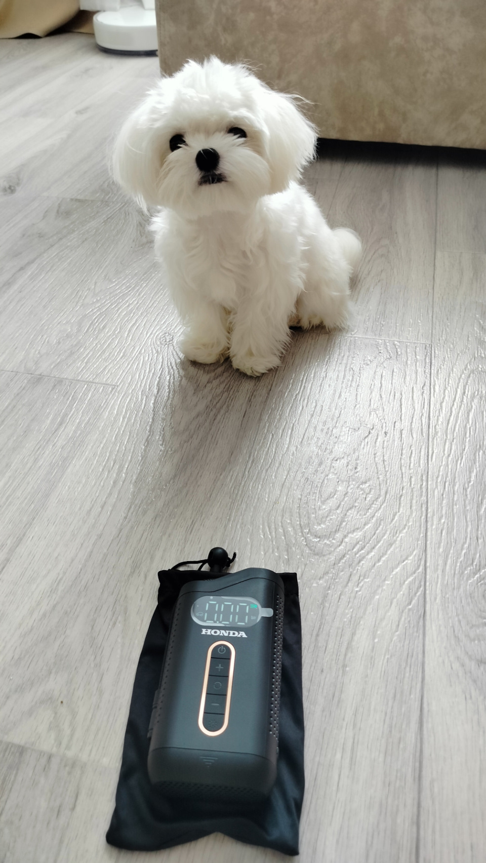 Фото в бортжурнале Honda Accord (8G)