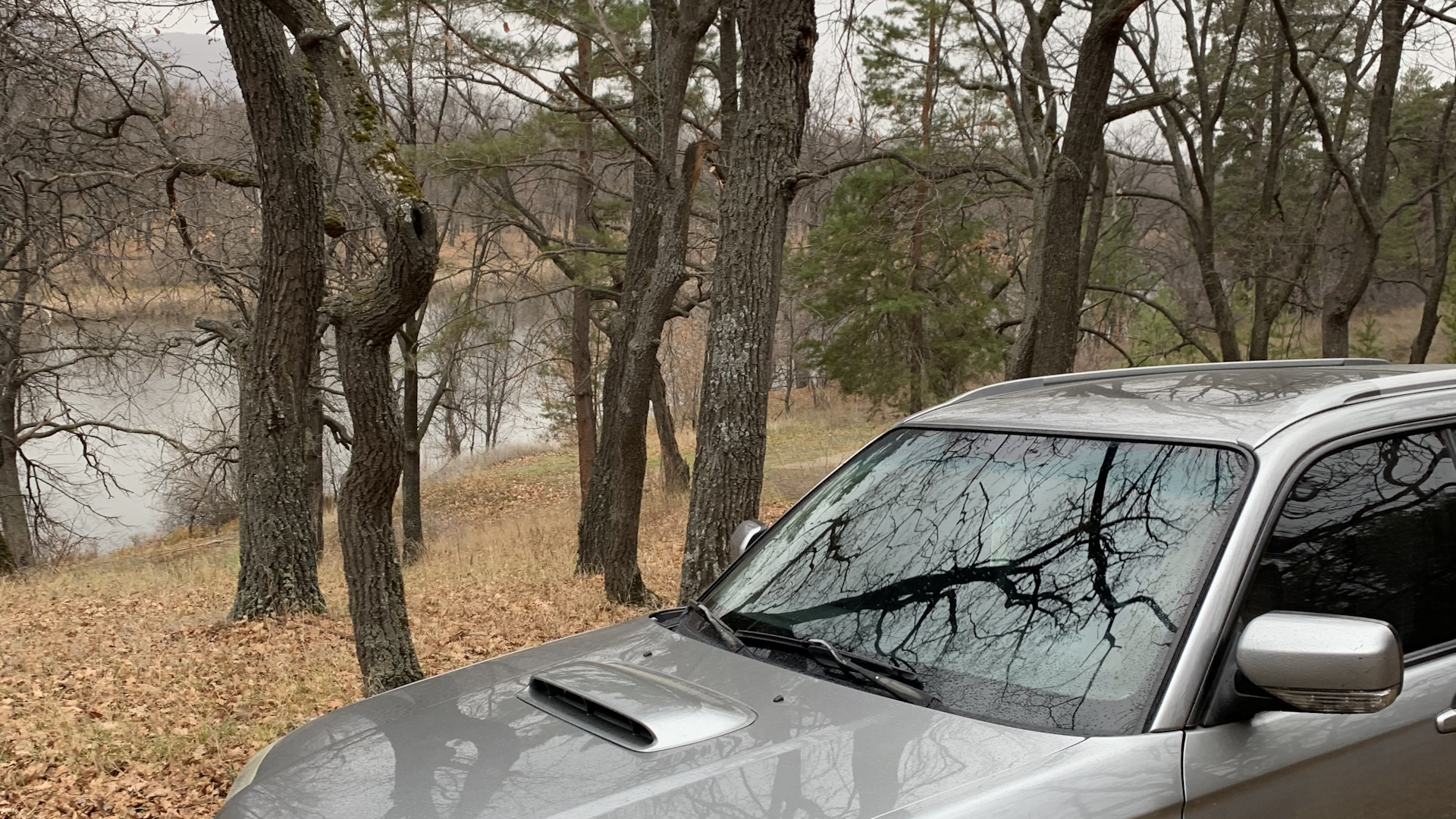 Subaru Forester (SG) 2.5 бензиновый 2006 | M.r бур-бур на DRIVE2