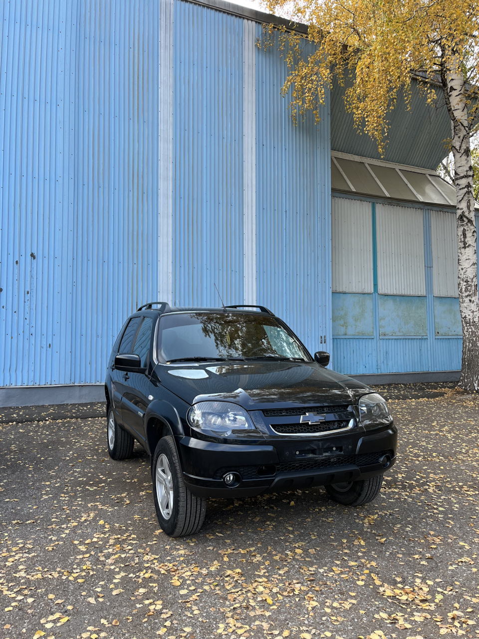 Что если оставить проставки над шаровыми? — Chevrolet Niva GLX, 1,7 л, 2016  года | другое | DRIVE2