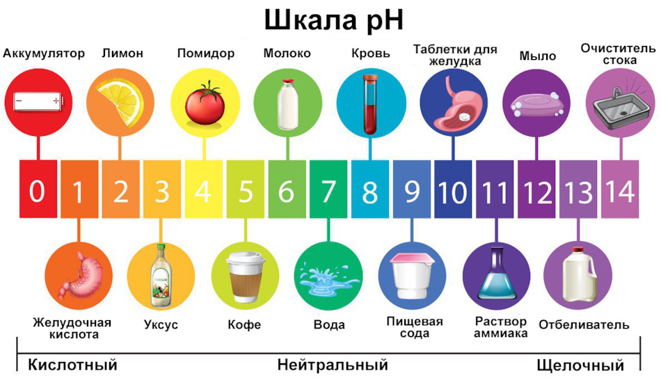 Теория детейлинга. Уровень pH. Часть 2 — Volkswagen Tiguan (2G), 1,4 л,  2019 года | мойка | DRIVE2