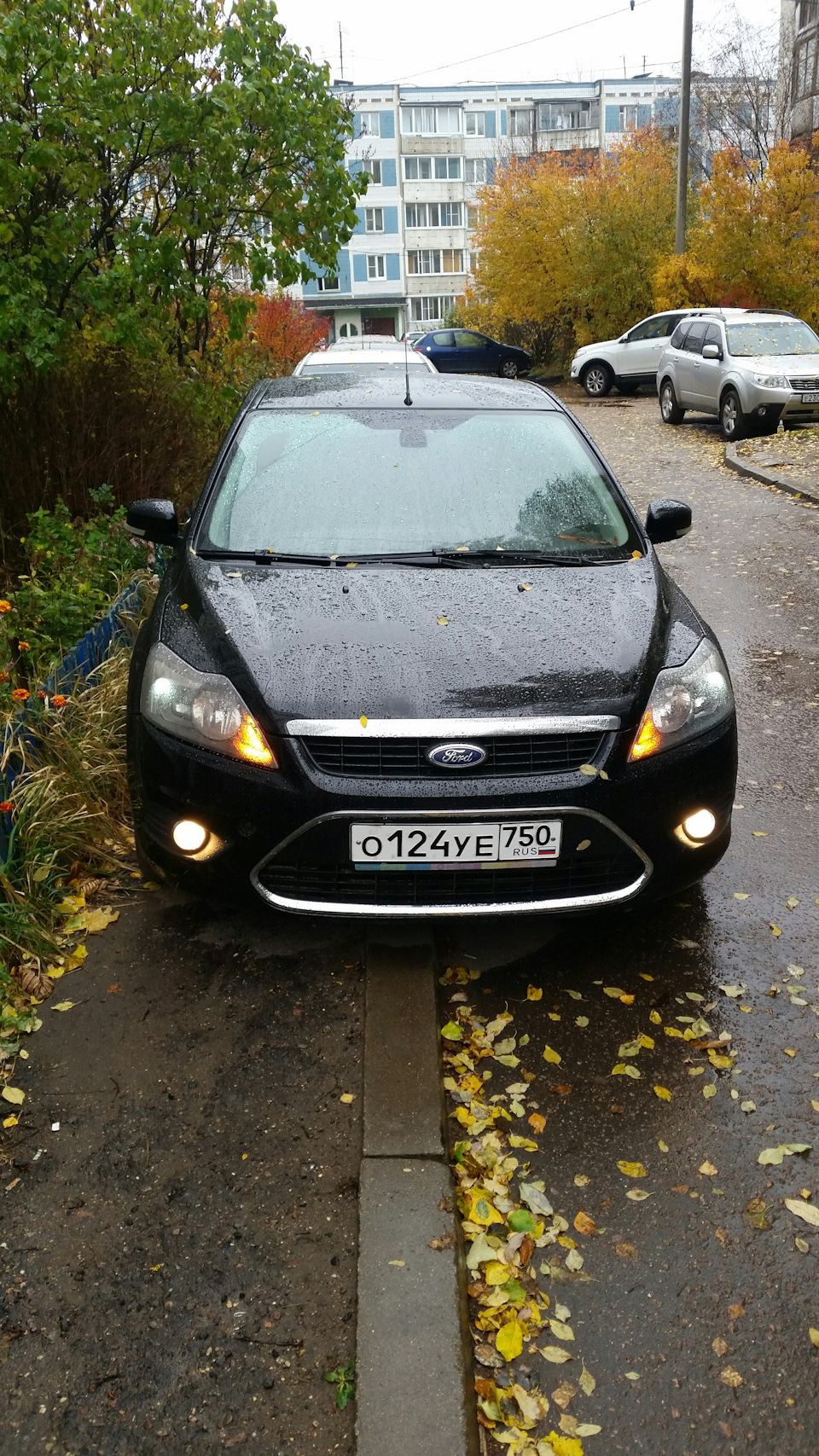 Американские габариты — Ford Focus II Hatchback, 2 л, 2011 года ...