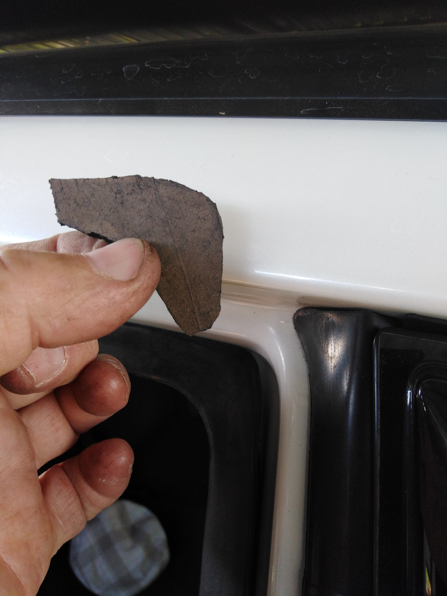 Замена передней части выхлопной и сайлентблоков задней балки на ...