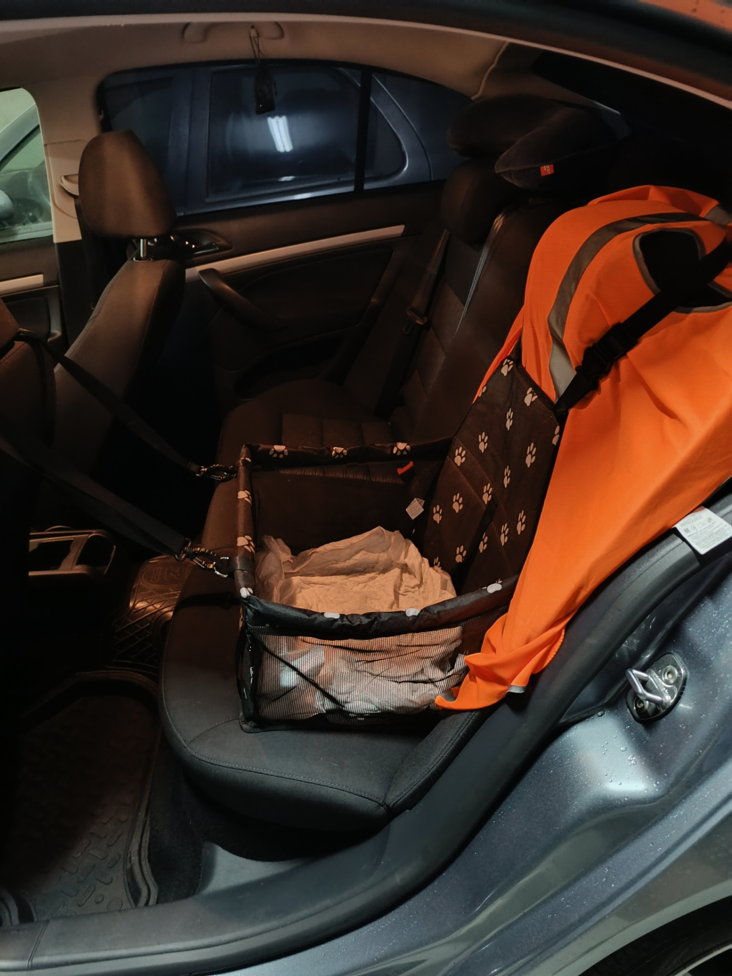 Автомобильная перевозка для собак — Skoda Octavia A5 Mk2, 1,6 л, 2013 ...