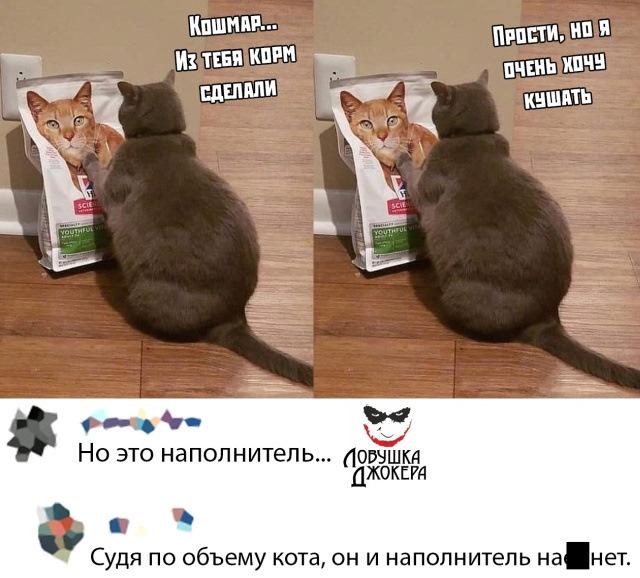 Кот с кормом мем