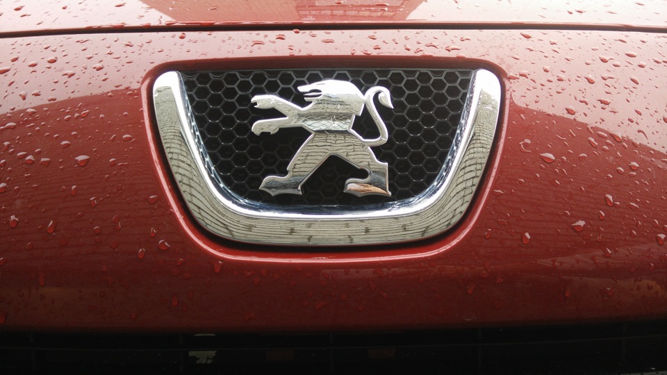 depollution system faulty — Peugeot 307, 1,6 л, 2006 года визит на сервис DRIVE2