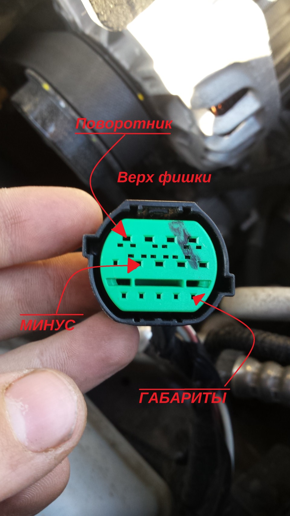 распиновка разъема фары солярис