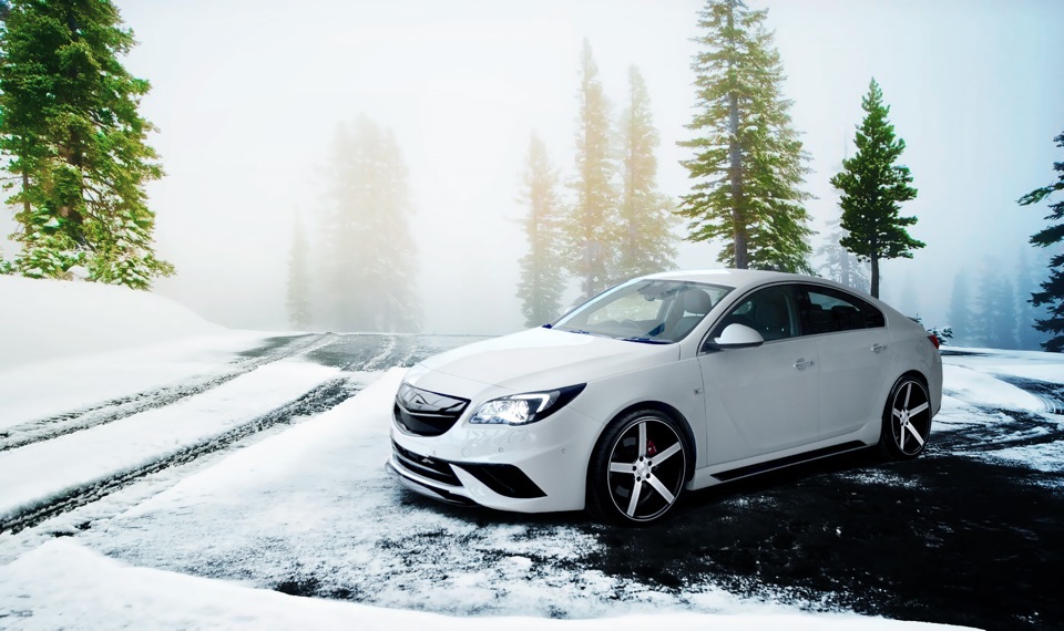 Opel Insignia stance