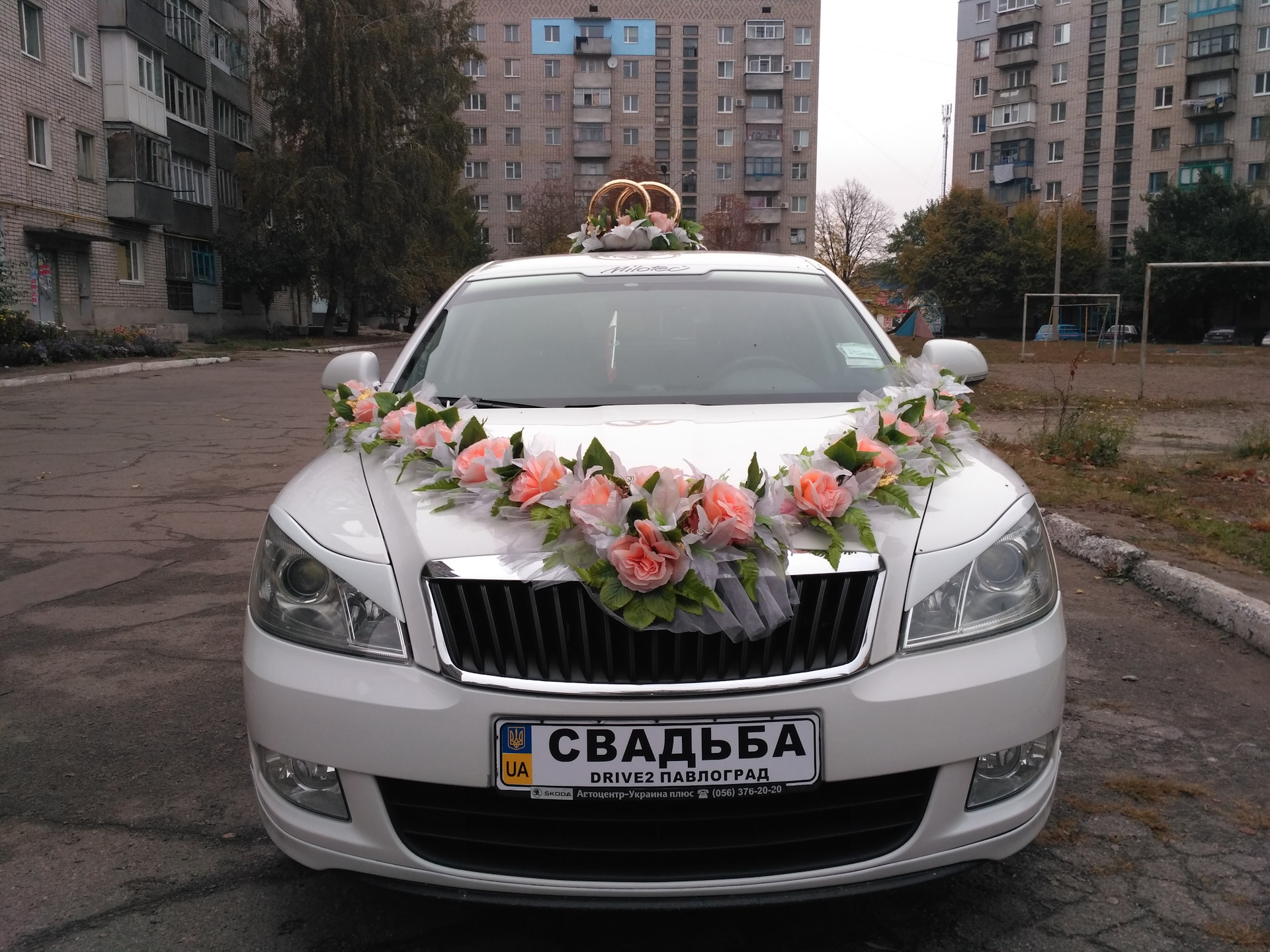 Свадьба 2017 часть 3 с широким профилем — Skoda Octavia A5 Mk2, 1,6 л, 2012  года | встреча | DRIVE2