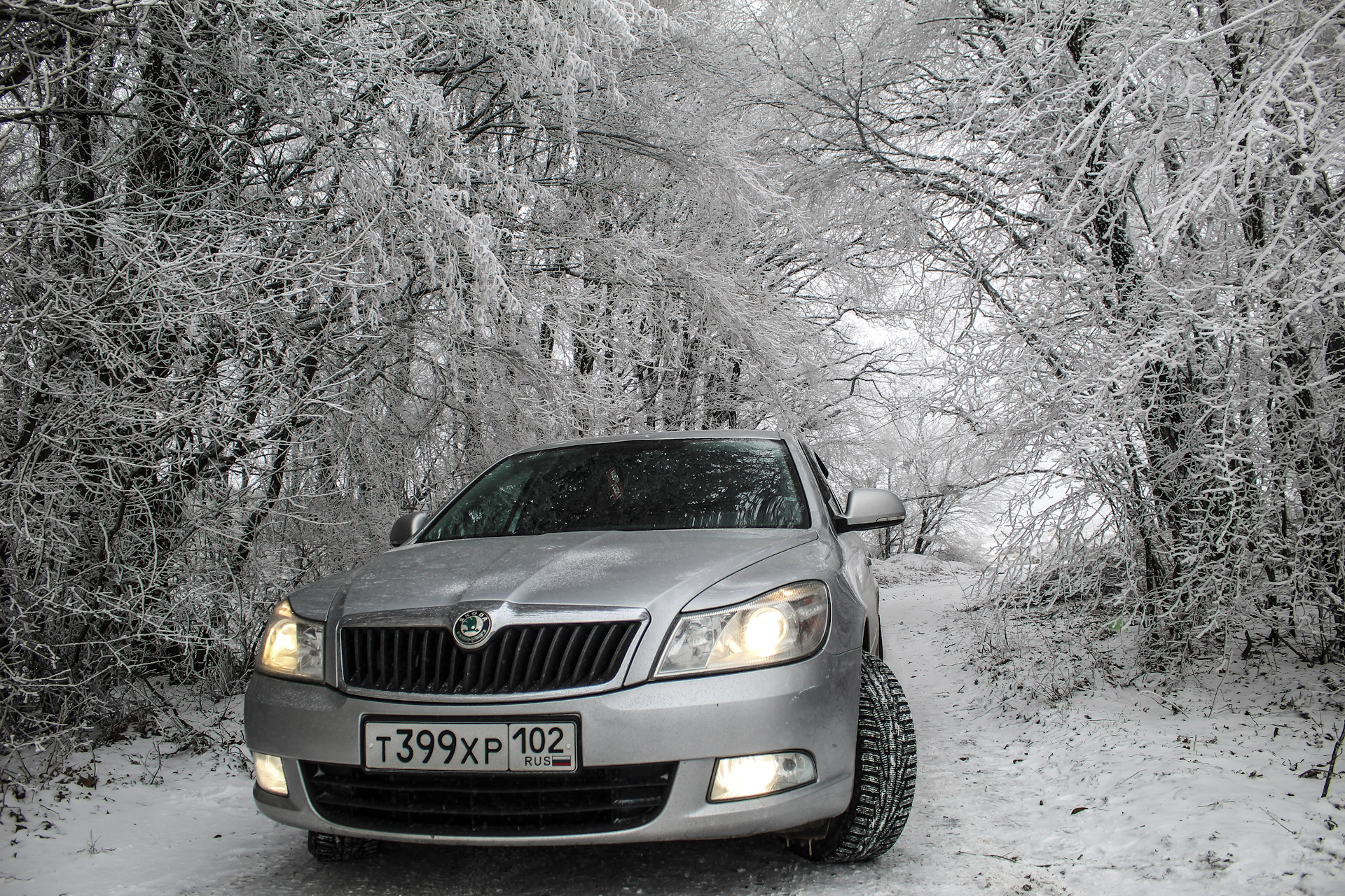 Шкода в крыму. Skoda зима. Шкода зимой. Авто 2008 зима.