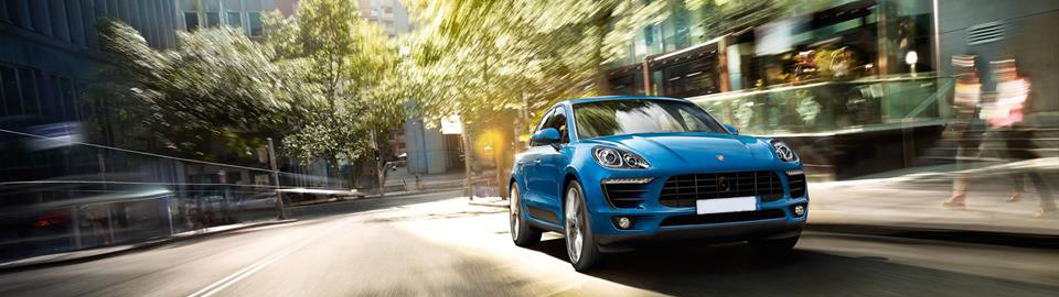 MS-Chip: отзывы, цены, фото