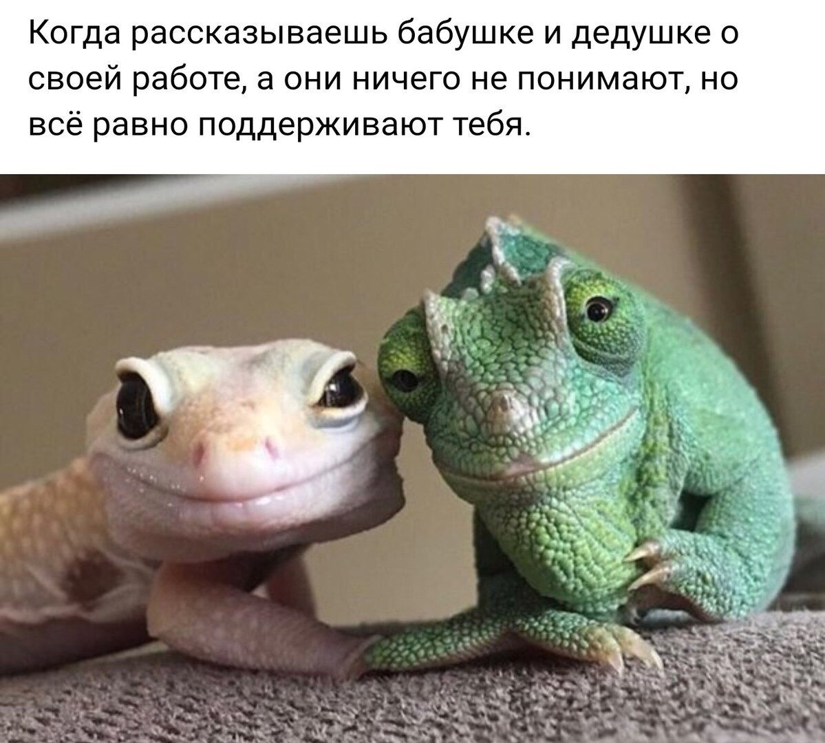 Ящерица новый год мем