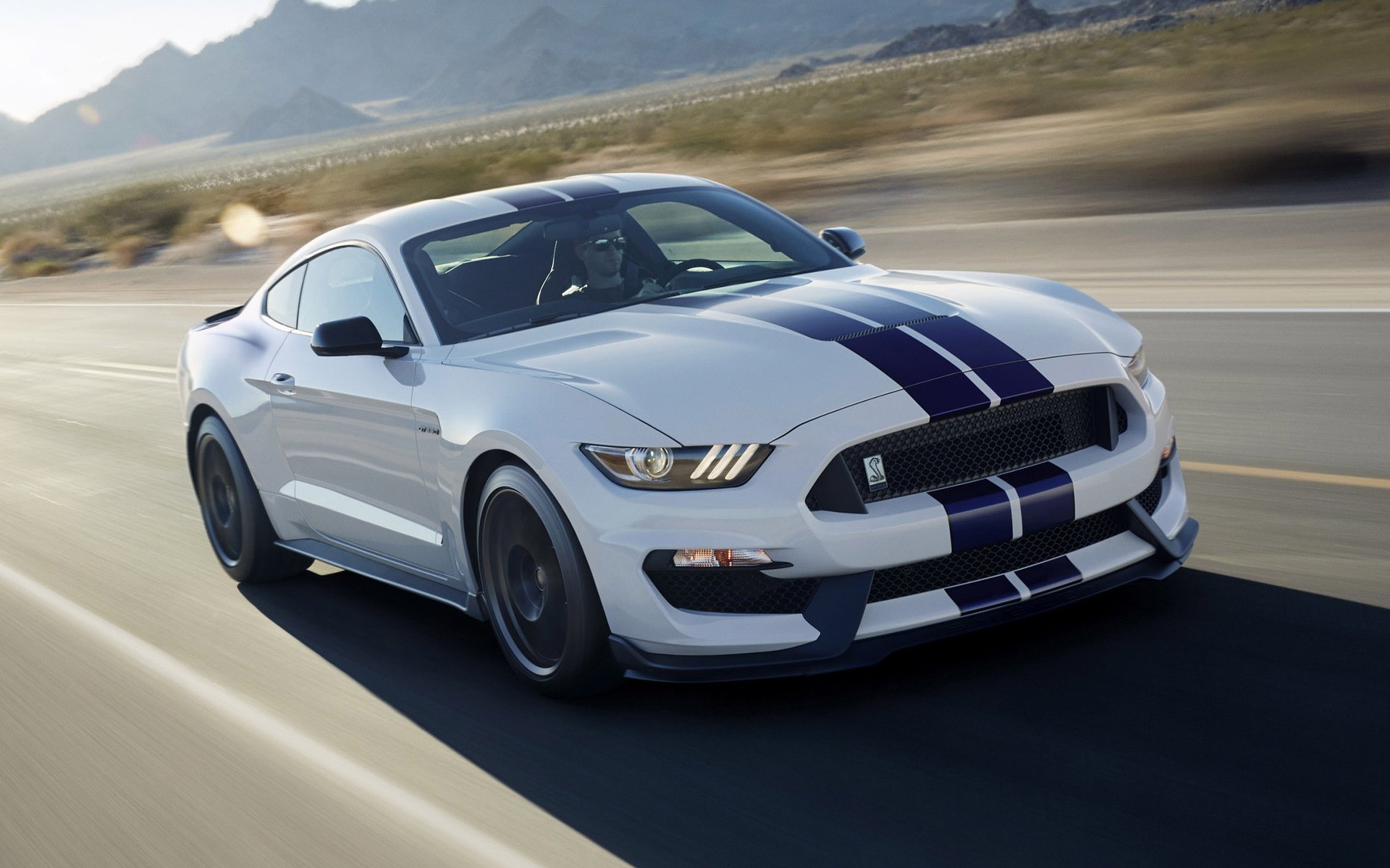 Ford Mustang Shelby gt500 2016