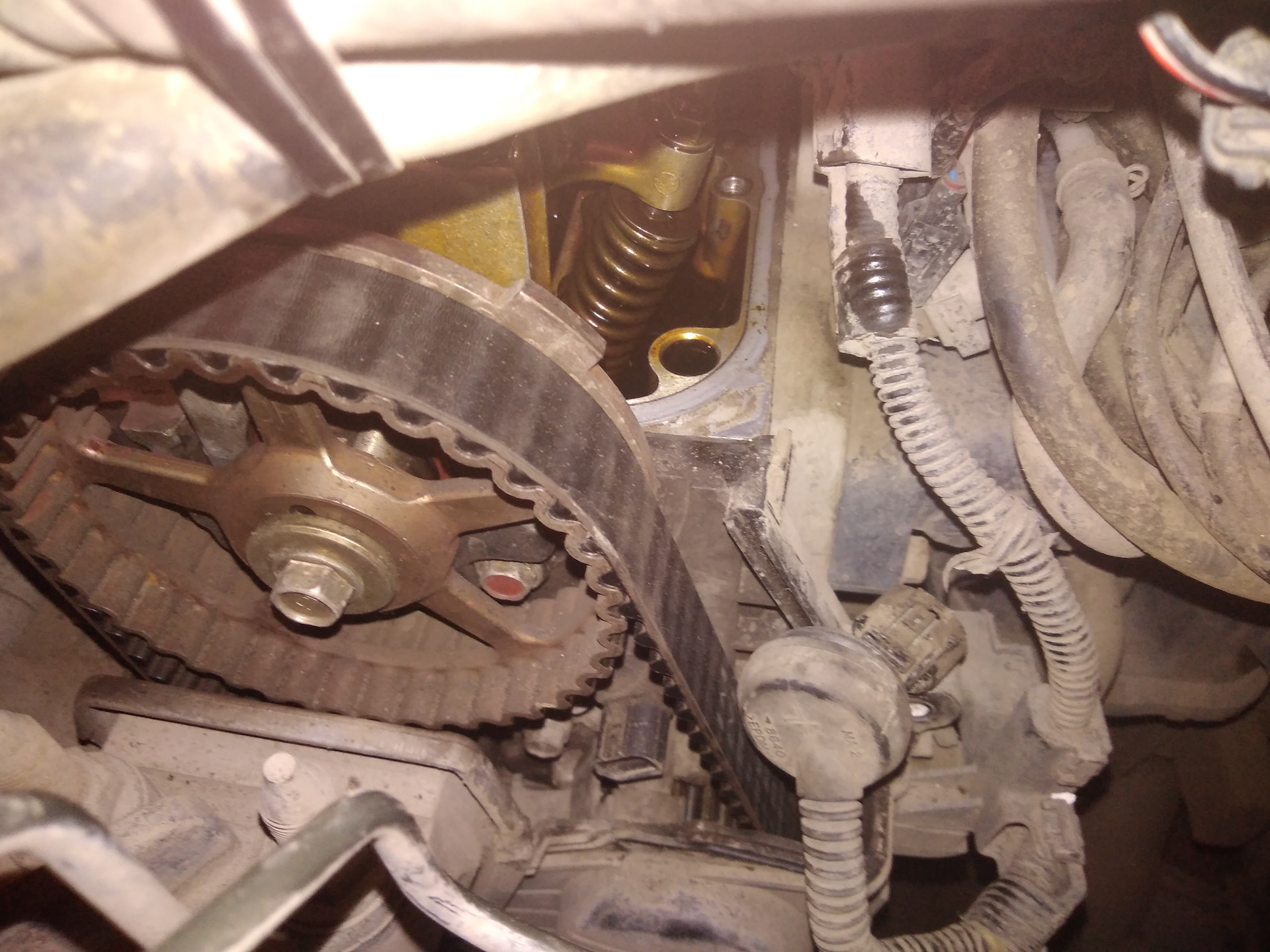 Honda Civic Timing Belt Diagram