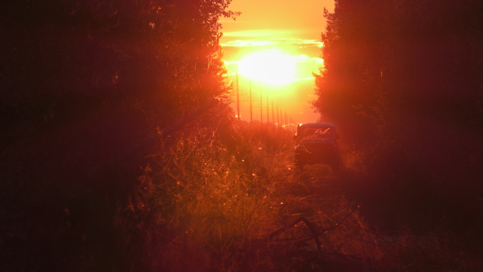 Малыгино — Мошинино — Новожилова — Медведево. 05.09.20 — DRIVE2