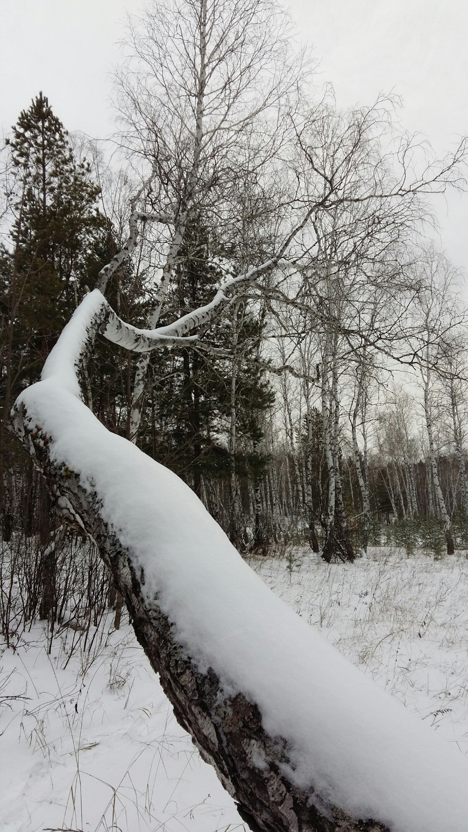 "Белый снег, серый лёд…" — Ford Edge (1G), 3,5 л, 2014 года ...