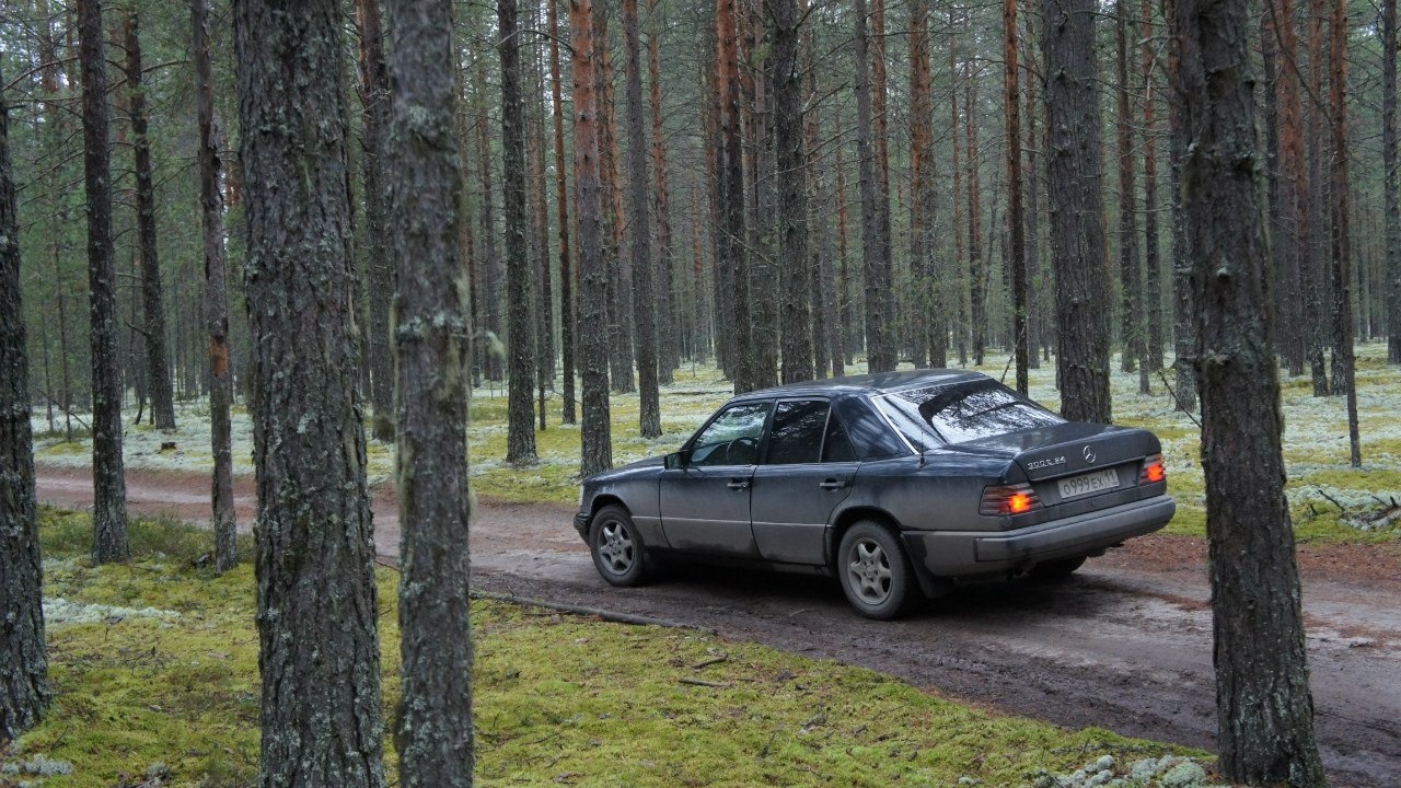 Mercedes-Benz E-class (W124) 3.0 бензиновый 1991 | 300Е-24 на DRIVE2