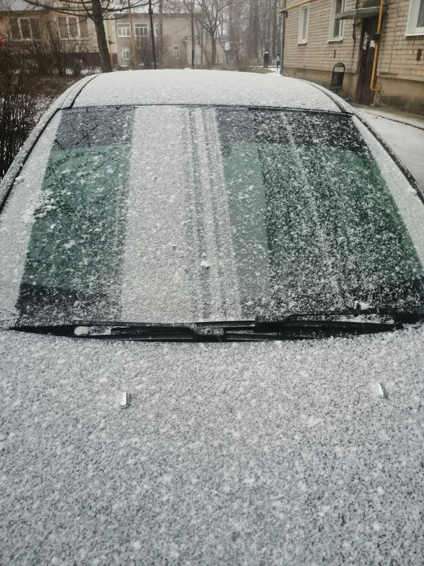 Замена лобового стекла — Ford Focus III Hatchback, 1,6 л, 2012 года ...