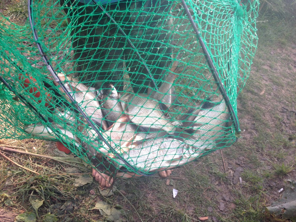 Рыбалка в Калязине — DRIVE2