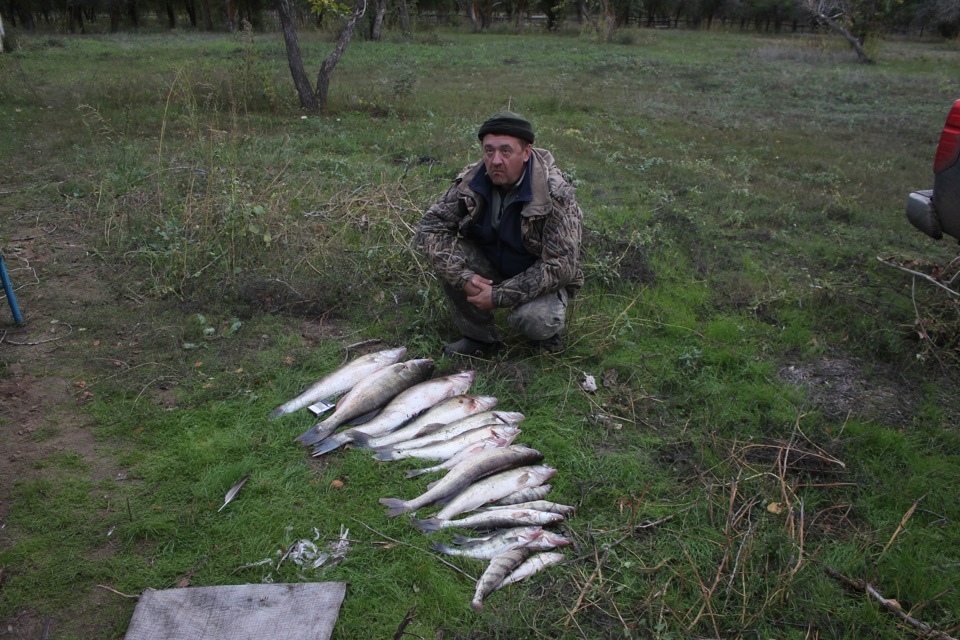 Погода в енотаевке