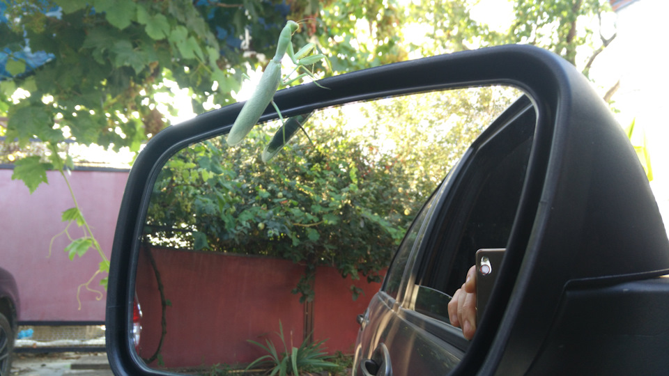 Дребезг в правой двери — Lada Приора седан, 1,6 л, 2015 года ...