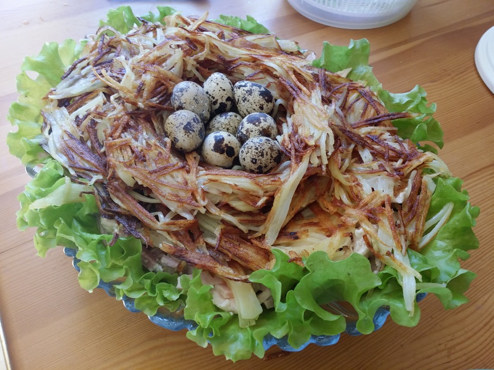 Рецепт вкусных салатов гнездо глухаря. Салат перепелиное гнездо. Салат перепелиное гнездышко. Гнездо глухаря с перепелиными яйцами. Салат гнездо перепела.
