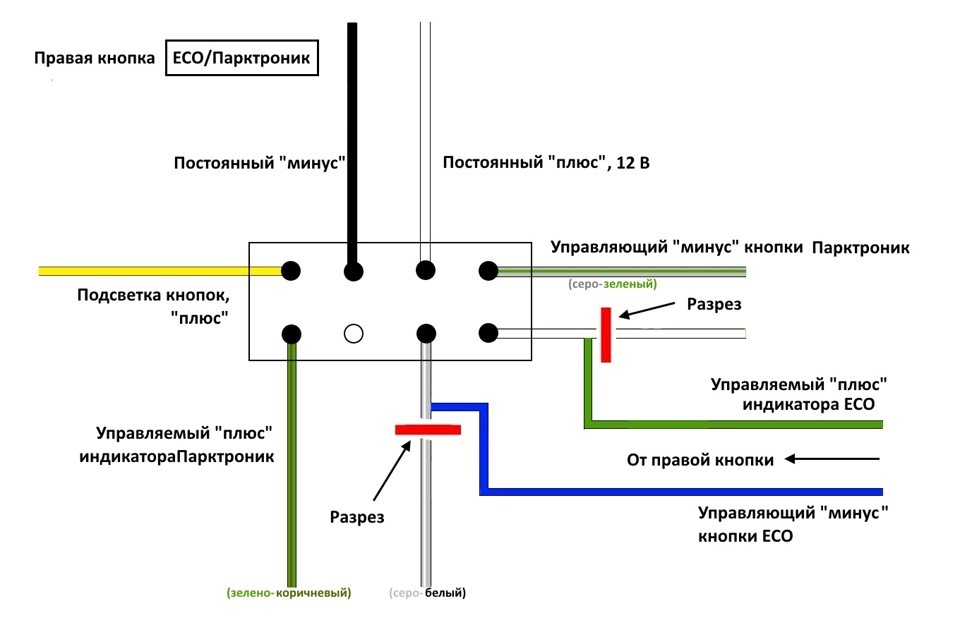 Форум плюс минус. Схема распиновки парктроников. Распиновка проводов дисплея парктроника. Схема кнопки парктроника Astra j. Распиновка кнопки парктроника.