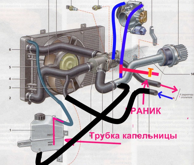Лада гранта система охлаждения двигателя 8 клапанов схема