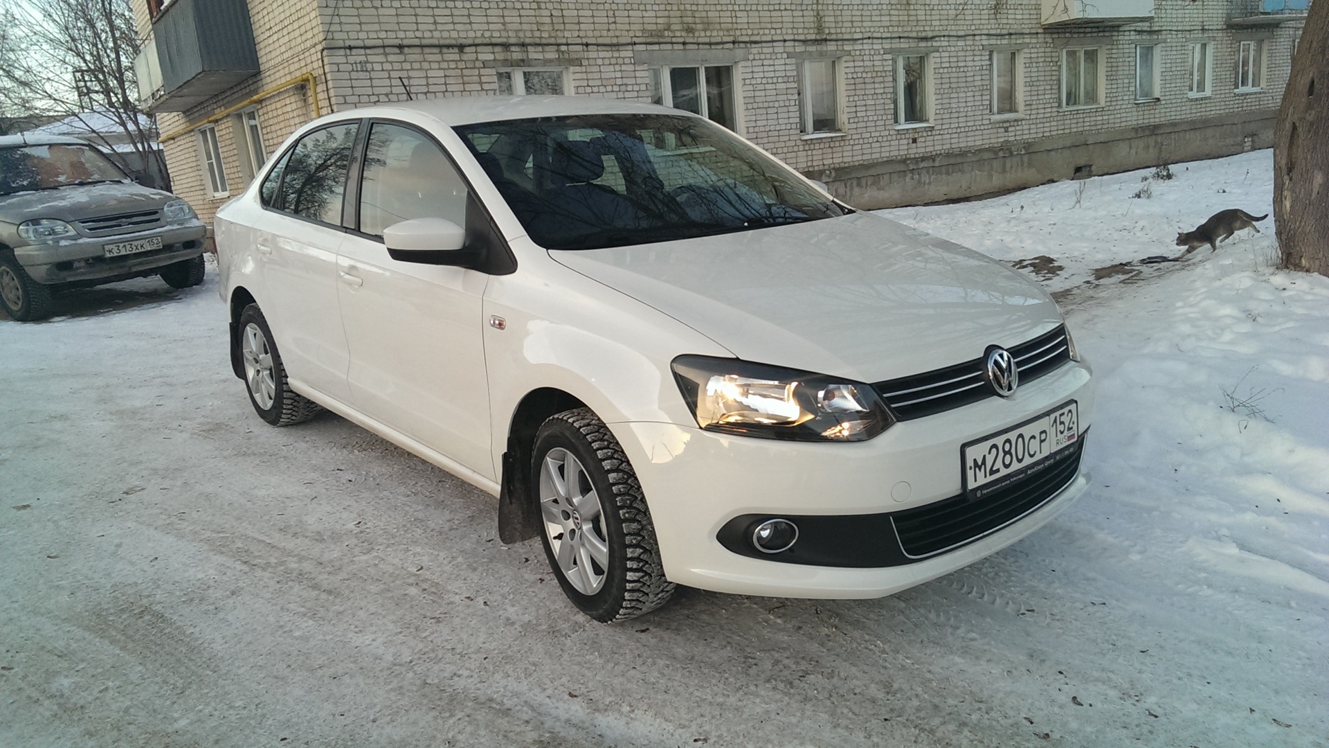 Volkswagen Polo 2013 Р±РµР»С‹Р№