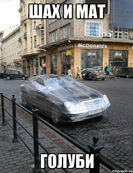 Защита от голубей))) — DRIVE2