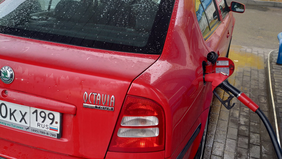 ТО100 — Skoda Octavia A4 Mk1, 1,4 л, 2008 года | аксессуары | DRIVE2