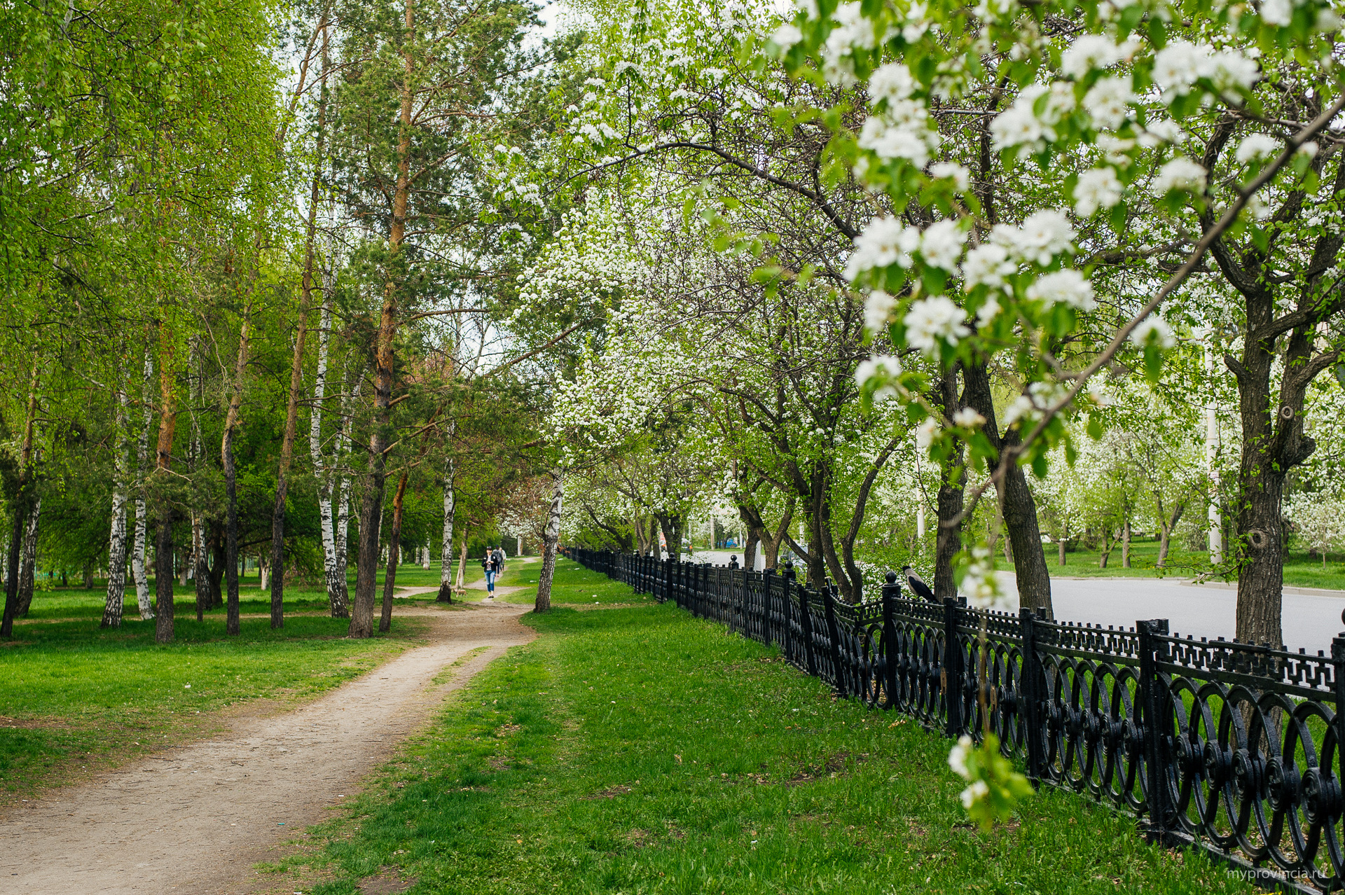 парк весной