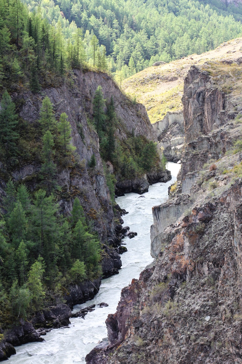 Мажойский мост горный алтай. Можайский каскад. Мажойский каскад на реке чуя. Мажойский каскад алтай. Можайский каскад.